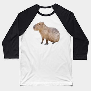 Seated Capybara Baseball T-Shirt